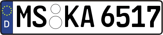 MS-KA6517