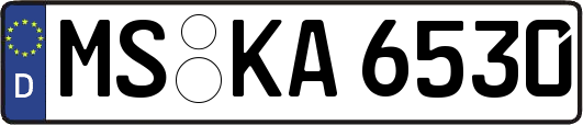 MS-KA6530