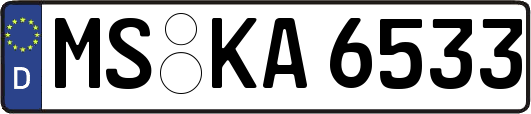 MS-KA6533