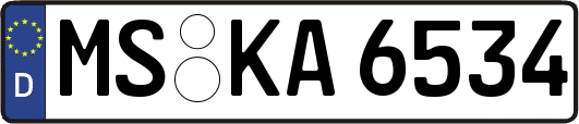 MS-KA6534