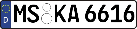 MS-KA6616