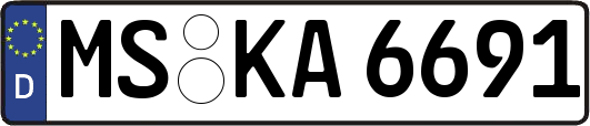 MS-KA6691