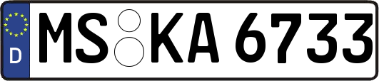 MS-KA6733