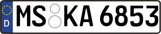 MS-KA6853