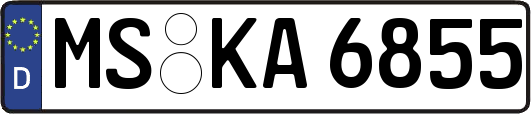 MS-KA6855