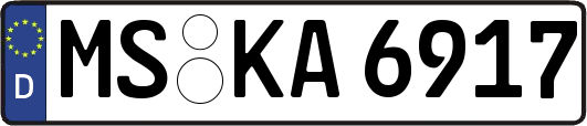MS-KA6917