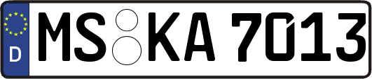 MS-KA7013