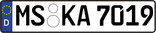 MS-KA7019