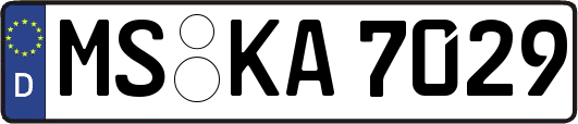 MS-KA7029