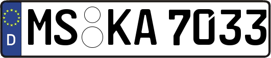 MS-KA7033