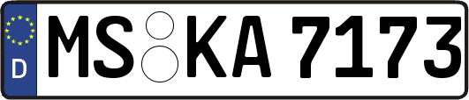 MS-KA7173