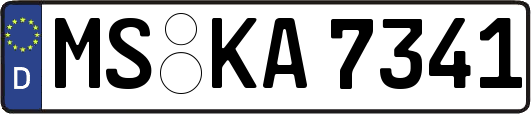 MS-KA7341
