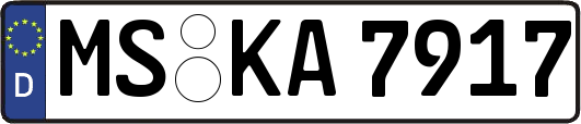 MS-KA7917