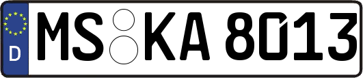 MS-KA8013