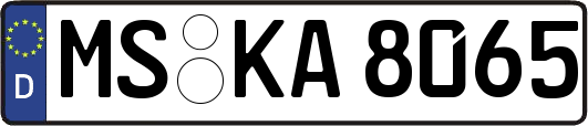 MS-KA8065