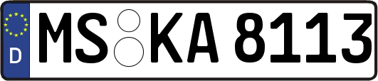MS-KA8113
