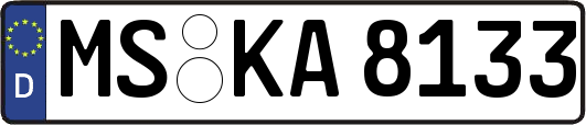 MS-KA8133