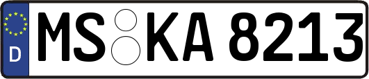 MS-KA8213