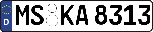 MS-KA8313