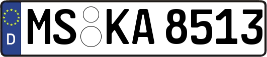 MS-KA8513