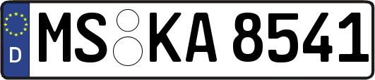 MS-KA8541