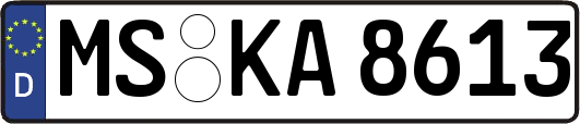 MS-KA8613