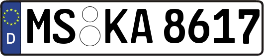MS-KA8617