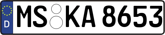 MS-KA8653