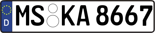 MS-KA8667