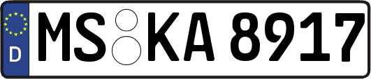 MS-KA8917