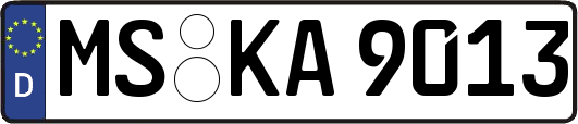 MS-KA9013