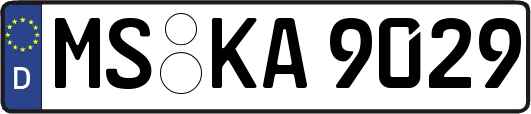 MS-KA9029