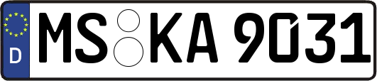 MS-KA9031