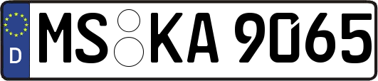 MS-KA9065