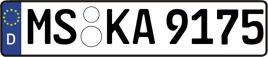 MS-KA9175