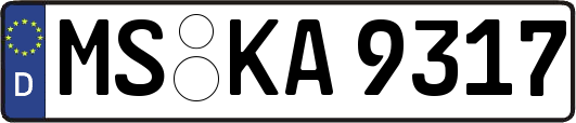 MS-KA9317