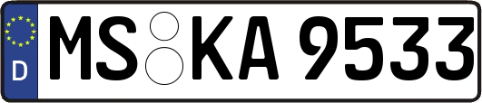 MS-KA9533