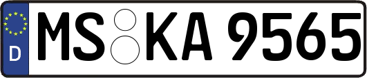 MS-KA9565