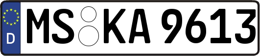 MS-KA9613