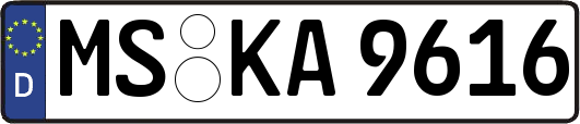 MS-KA9616