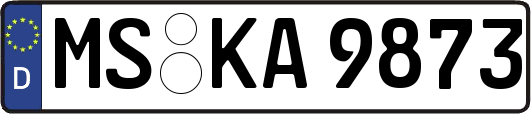 MS-KA9873