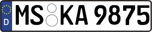 MS-KA9875