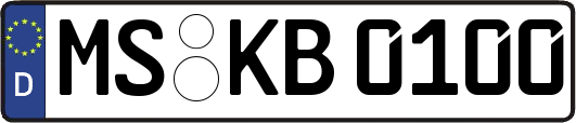 MS-KB0100