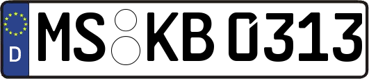 MS-KB0313