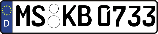 MS-KB0733