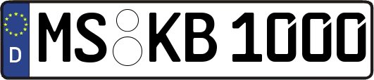 MS-KB1000