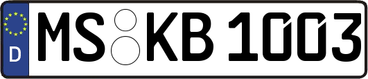 MS-KB1003