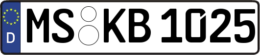 MS-KB1025
