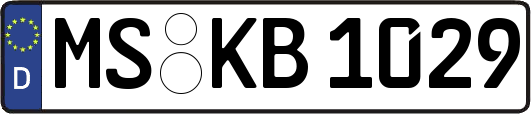 MS-KB1029