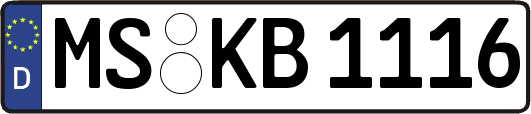MS-KB1116